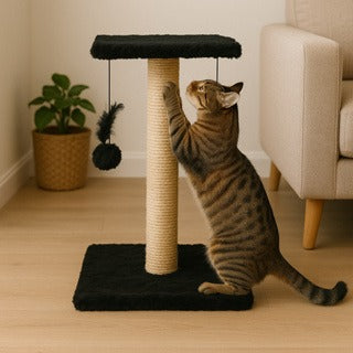 Arranhador Para Gatos Pet