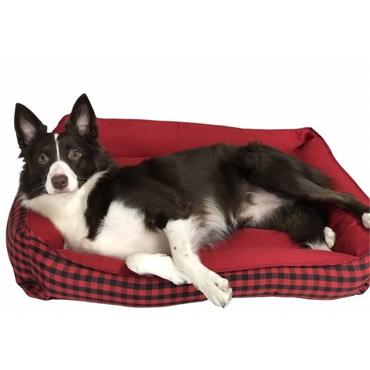 Caminha Casinha Pet